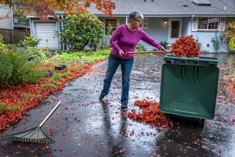 Fall Lawn Debris Collection