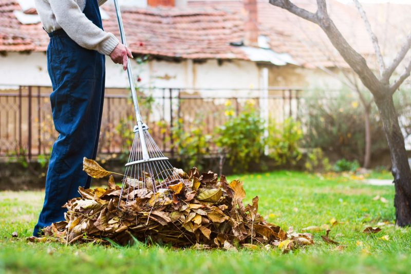 Lawn with Fallen Leaves Before Cleanup