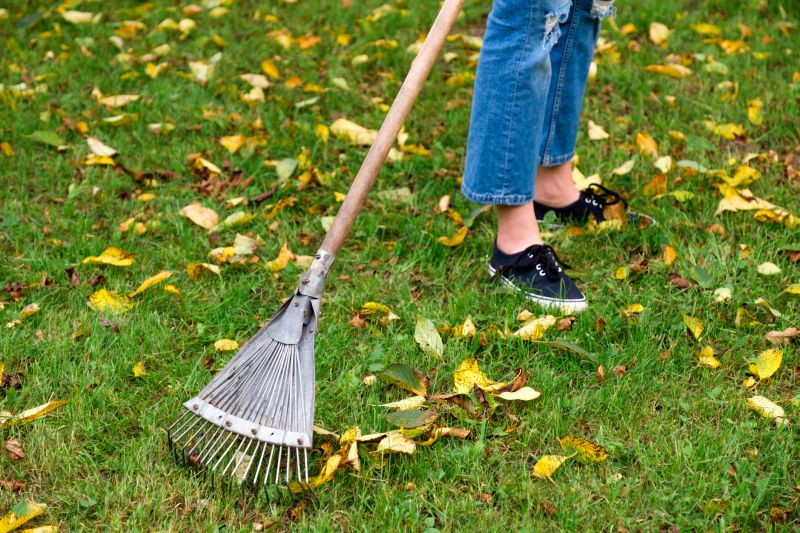 Tools for Fall Lawn Maintenance
