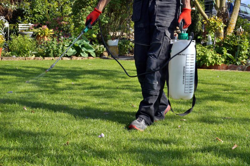 Weed Prevention Service in Rockwall, TX