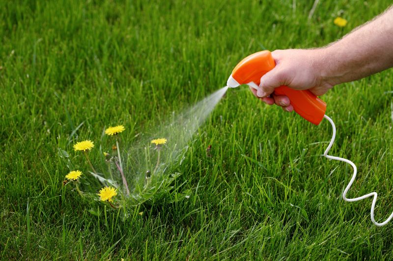 Get Effective Weed Control Service!