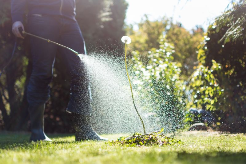 Prevent Weed Infestation with Weed Spraying Service!
