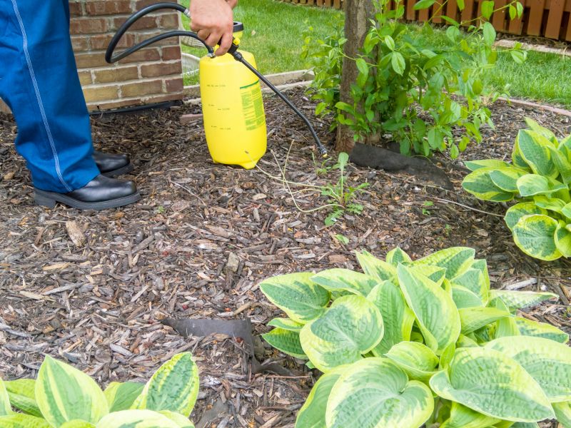 Save Time and Effort with Professional Weed Spraying Service!