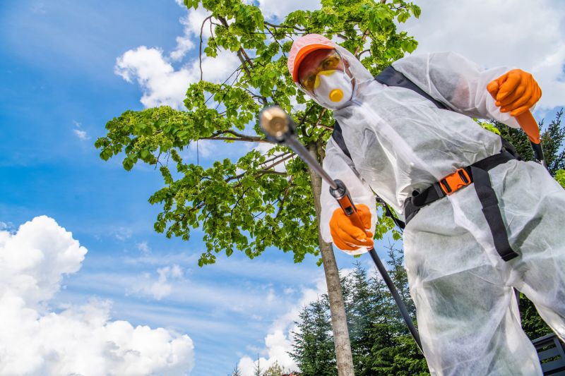 Lawn Weed Spraying Service