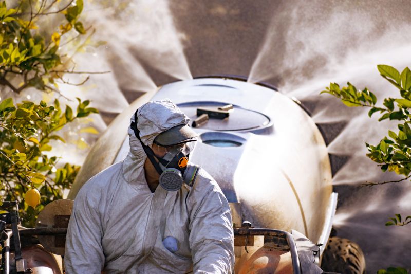 Local Weed Spraying pros at work